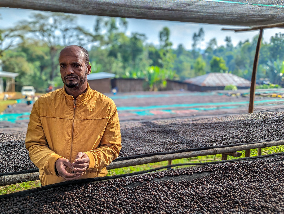 Ethiopia Reshad Ababulgu White Honey