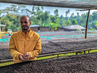 Ethiopia Reshad Ababulgu White Honey