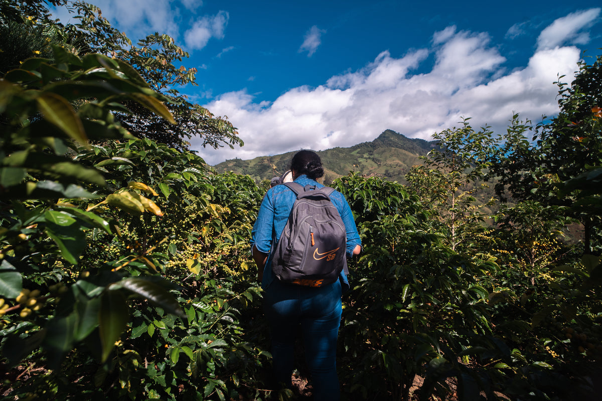 Peru Aromas del Valle Merly Leon Organic