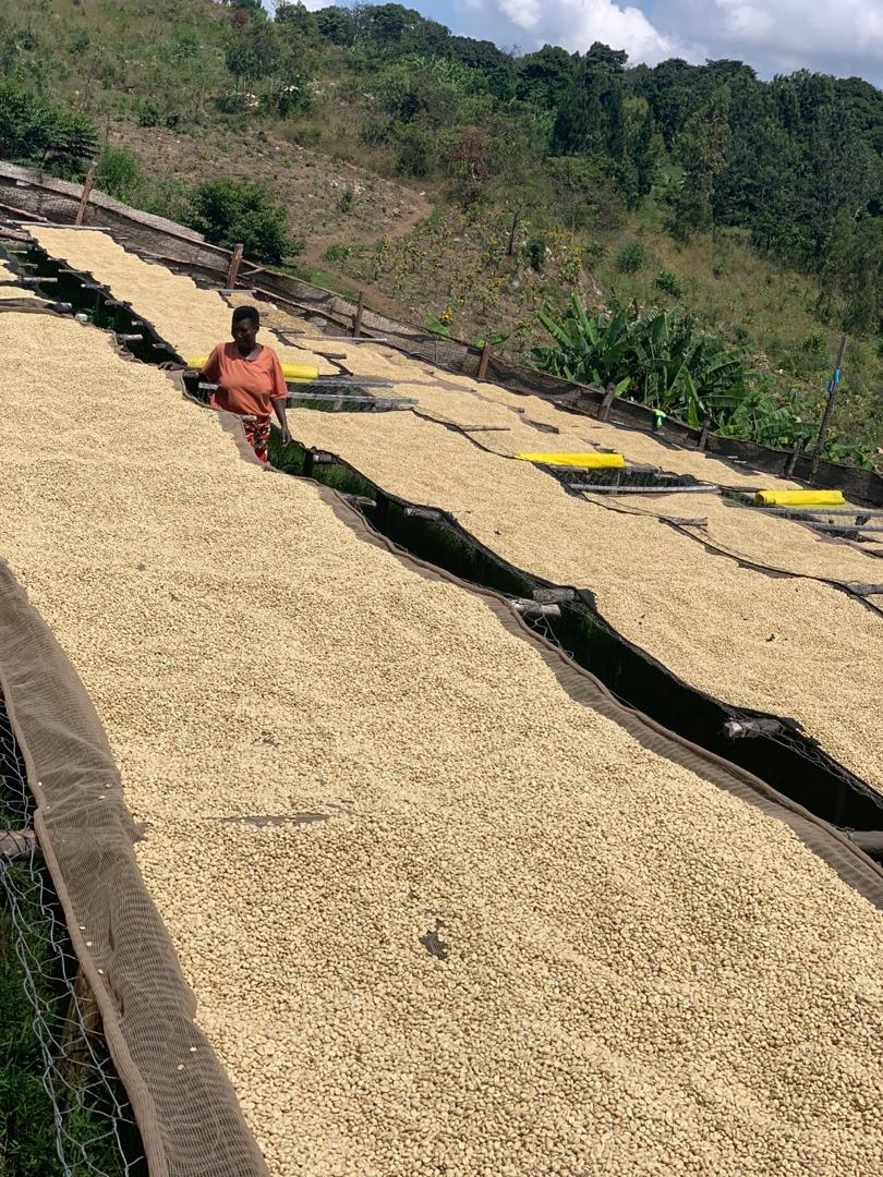 Burundi Isosa