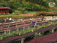 Burundi Ntwari II Natural