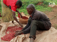 Burundi Ntwari II Natural