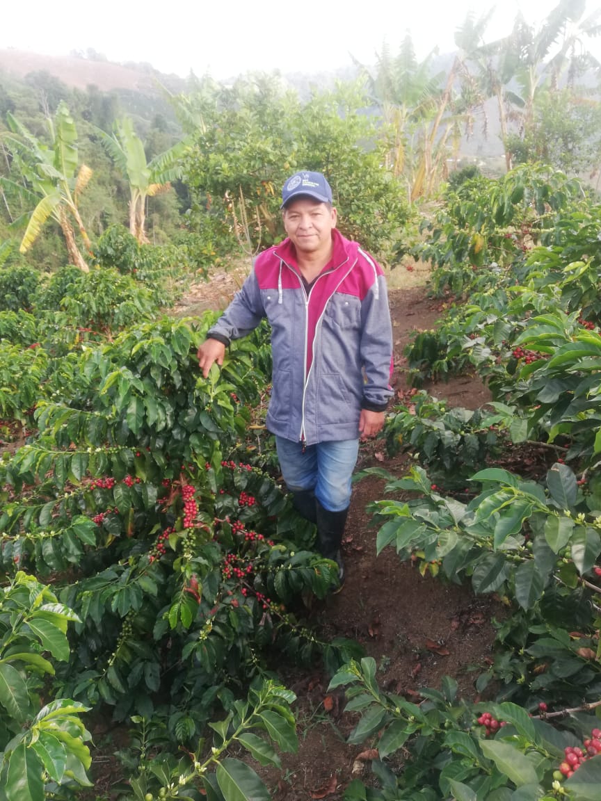 Colombia Los Rosales