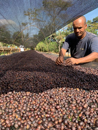 Ethiopia Reshad Ababulgu White Honey