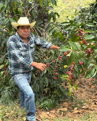 Mexico La Tribu Organic