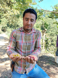 Mexico La Tribu Organic