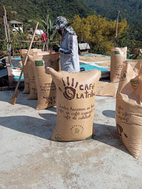 Mexico La Tribu Organic