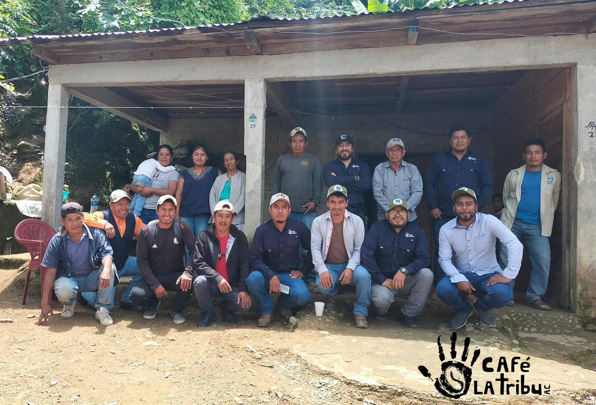 Mexico La Tribu Organic