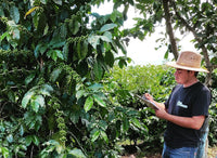 Mexico La Tribu Organic