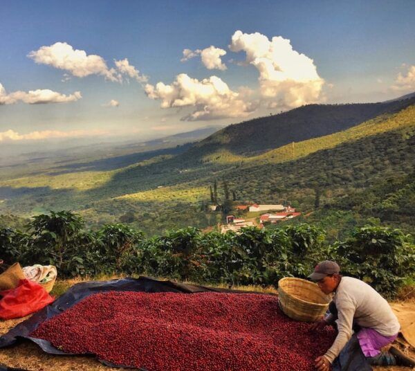 El Salvador Cerro El Tigre